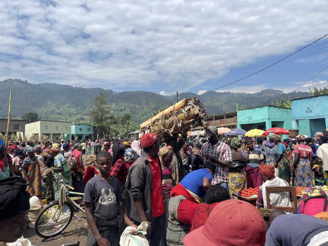 Eco-Community Tour – Connect with Local Life